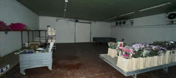 275m² Warehouse in Tuoro sul Trasimeno, Italy No. 150890 20