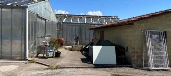 275m² Warehouse in Tuoro sul Trasimeno, Italy No. 150890 32
