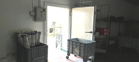 275m² Warehouse in Tuoro sul Trasimeno, Italy No. 150890 23