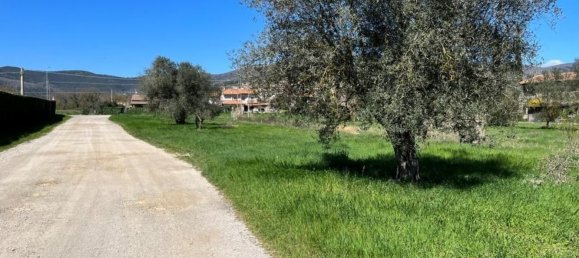 275m² Warehouse in Tuoro sul Trasimeno, Italy No. 150890 40