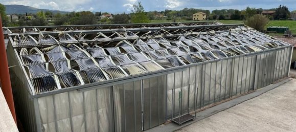 275m² Warehouse in Tuoro sul Trasimeno, Italy No. 150890 30