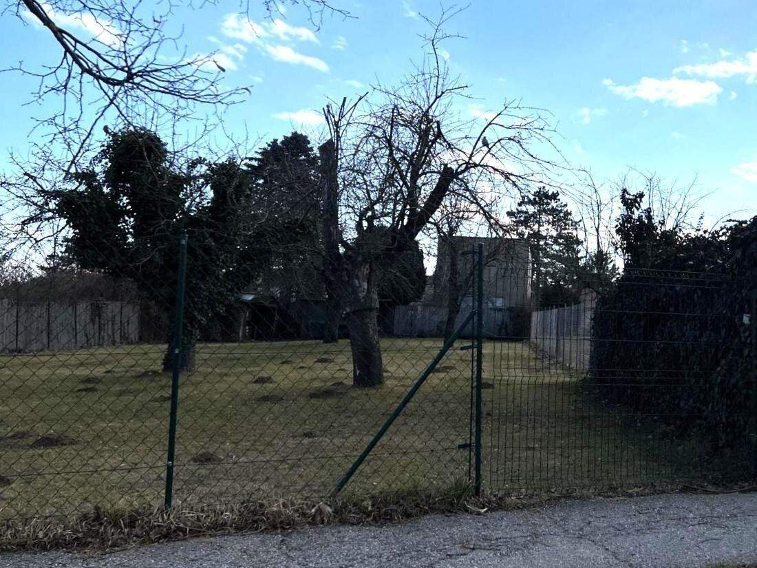  Land in Bad Sauerbrunn, Austria No. 251348