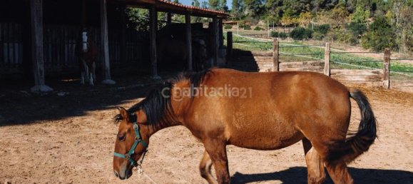 Terrain à Rubi, Spain 1472m² No. 159411 7