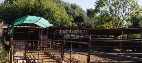 Terrain à Rubi, Spain 1472m² No. 159411 23