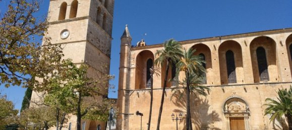 Grundstück in Muro, Spain, Nr. 27639 7