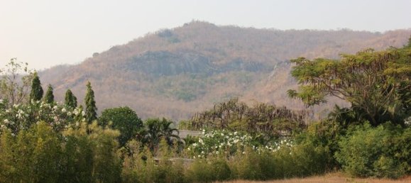  Commercial property in Hua Hin, Thailand No. 6841 3