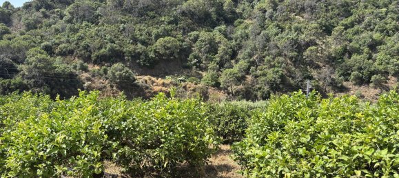 Terrain à Estepona, Spain 13391m² No. 147710 19