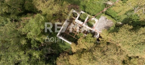 Земельный участок 8166м² в Магнисия, Фессалия, Фессалия и Центральная Греция, Греция № 276 10