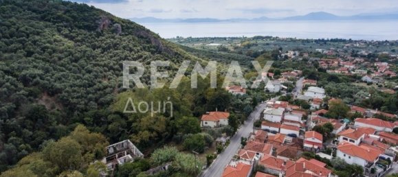 Земельный участок 8166м² в Магнисия, Фессалия, Фессалия и Центральная Греция, Греция № 276 12
