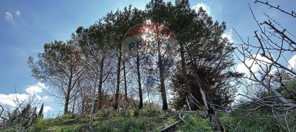 7-Zimmer Villa in Monreale, Italy, Nr. 51723 5