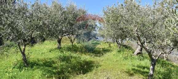 7-Zimmer Villa in Monreale, Italy, Nr. 51723 47