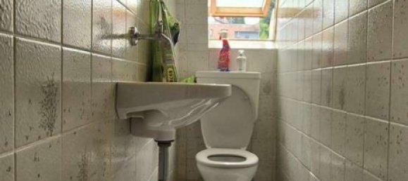 Edificio de 5 habitaciónes en Enzkreis, Germany No. 11463 6