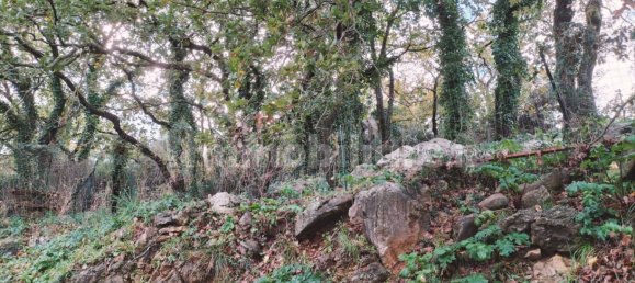 5 Schlafzimmer Villa in Altofonte, Italy, Nr. 149795 44