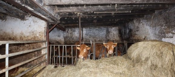 7غرفة منزل في Rhineland-Palatinate, Germany رقم 136113 32