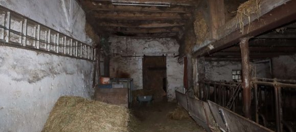 7غرفة منزل في Rhineland-Palatinate, Germany رقم 136113 31