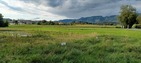 Terreno en Volkermarkt, Austria No. 126935 4