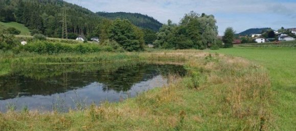 Terreno en Volkermarkt, Austria No. 126935 3