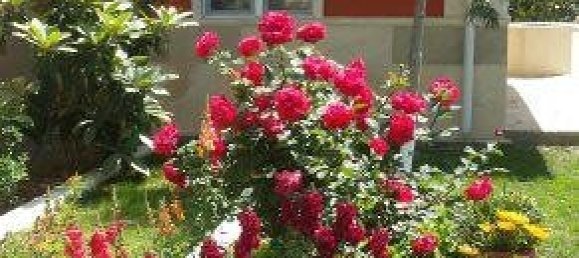 Дом 280м² в Сумгаит, Азербайджан № 1174 21