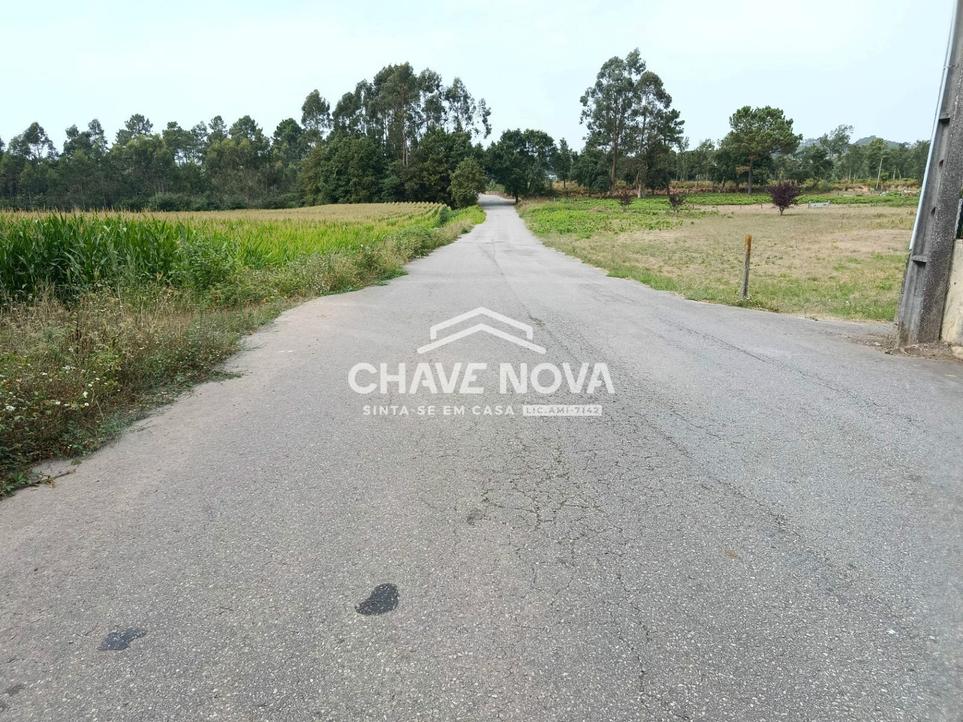 Terrain à Santa Maria da Feira, Portugal 6160m² No. 272204