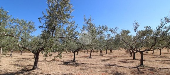 4 rooms Villa in Sinnai, Italy No. 310602 28