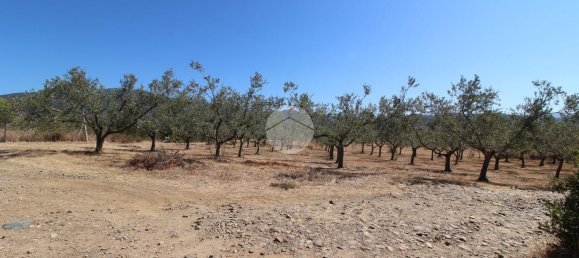 4 rooms Villa in Sinnai, Italy No. 310602 29