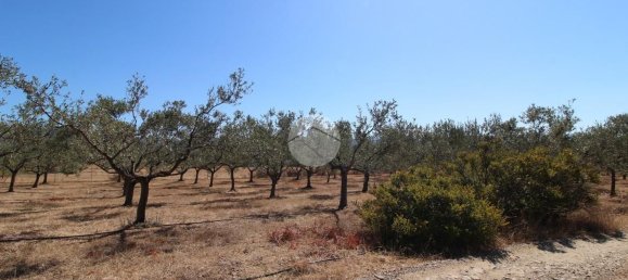 4 rooms Villa in Sinnai, Italy No. 310602 27