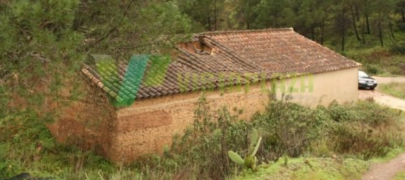 149999m² Land in Mexilhoeira Grande, Portugal No. 40974 6