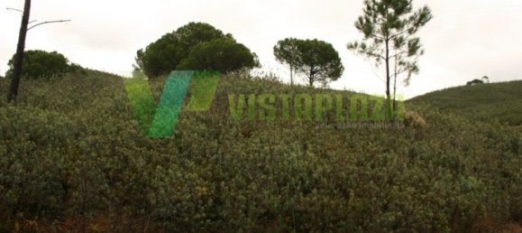 149999m² Land in Mexilhoeira Grande, Portugal No. 40974 10