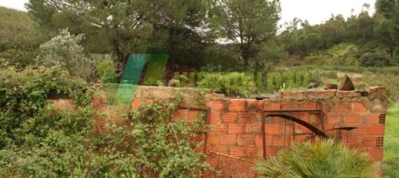 149999m² Land in Mexilhoeira Grande, Portugal No. 40974 4