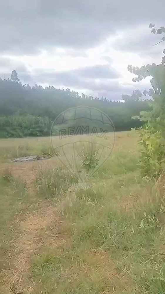 2 غرف نوم منزل في Lousa, Portugal رقم 219561