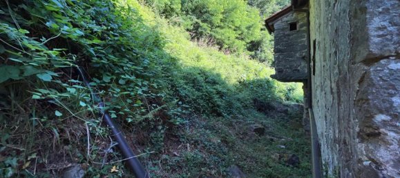 4 bedrooms House in Barga, Italy No. 234569 7