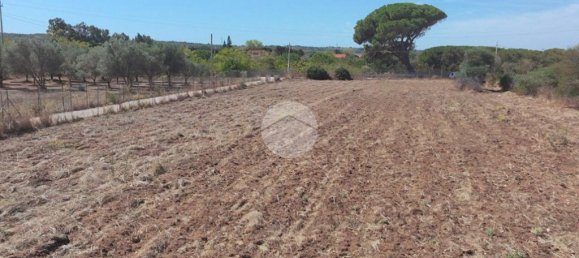 قطعة أرض في Sorso, Italy 5000متر مربع رقم 322165 2