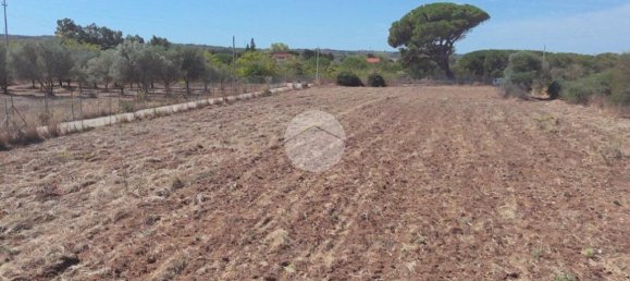 قطعة أرض في Sorso, Italy 5000متر مربع رقم 322165 3