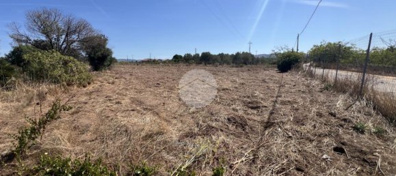 قطعة أرض في Sorso, Italy 5000متر مربع رقم 322165 9