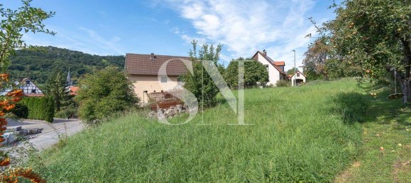  قطعة أرض في Forchheim, Germany رقم 294778 8