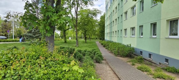 Apartamento de 3 habitaciónes en Neubrandenburg, Germany No. 312975 4