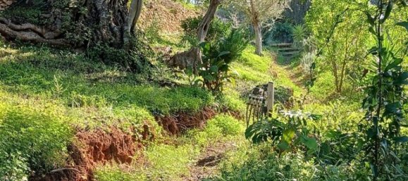 3 Schlafzimmer Haus in Ferreiras, Portugal, Nr. 237480 50