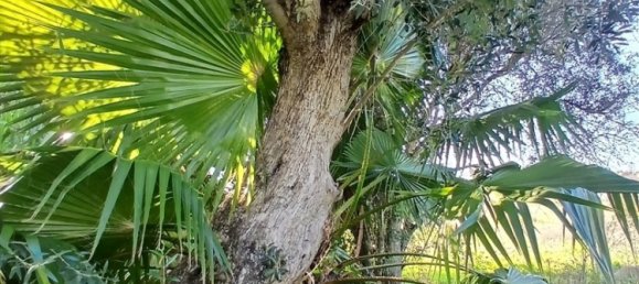 3 Schlafzimmer Haus in Ferreiras, Portugal, Nr. 237480 49