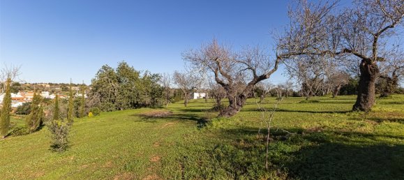 3 Schlafzimmer Haus in Ferreiras, Portugal, Nr. 237480 42