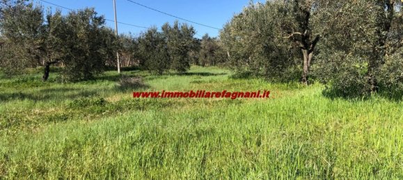  قطعة أرض في Velletri, Italy 3900متر مربع رقم 147518 4