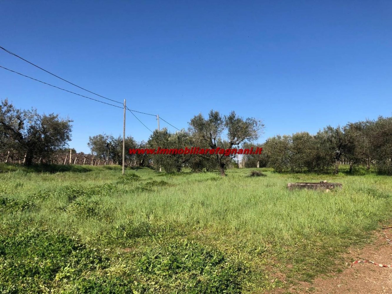  قطعة أرض في Velletri, Italy 3900متر مربع رقم 147518