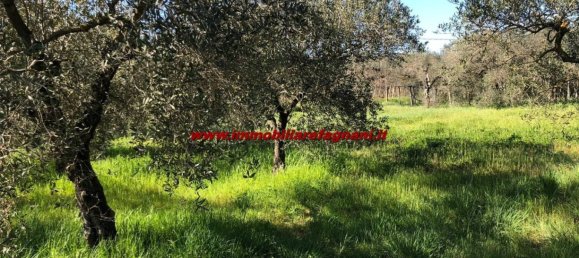  قطعة أرض في Velletri, Italy 3900متر مربع رقم 147518 5