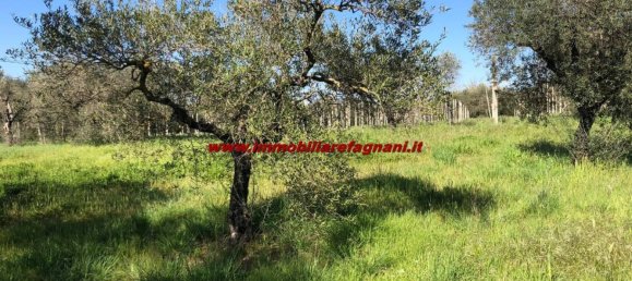  قطعة أرض في Velletri, Italy 3900متر مربع رقم 147518 3