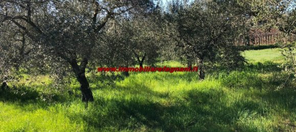  قطعة أرض في Velletri, Italy 3900متر مربع رقم 147518 2