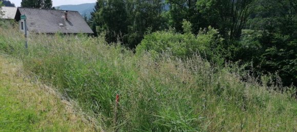 936m² Land in Spital am Semmering, Austria No. 78625 4