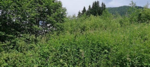 936m² Land in Spital am Semmering, Austria No. 78625 3