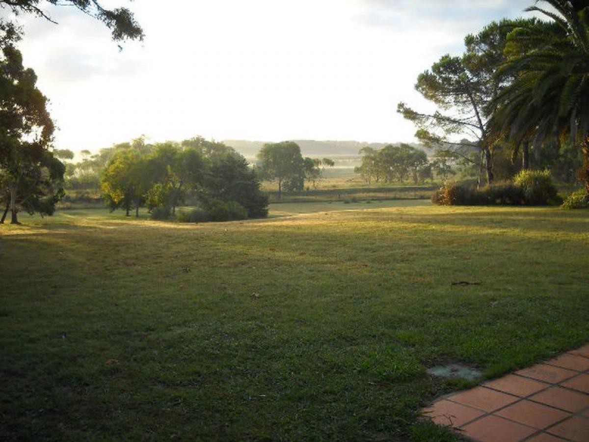  Farm in Maldonado, Uruguay No. 15111