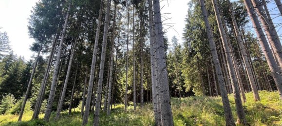 Grundstück in Ostallgäu, Germany, Nr. 183875 3