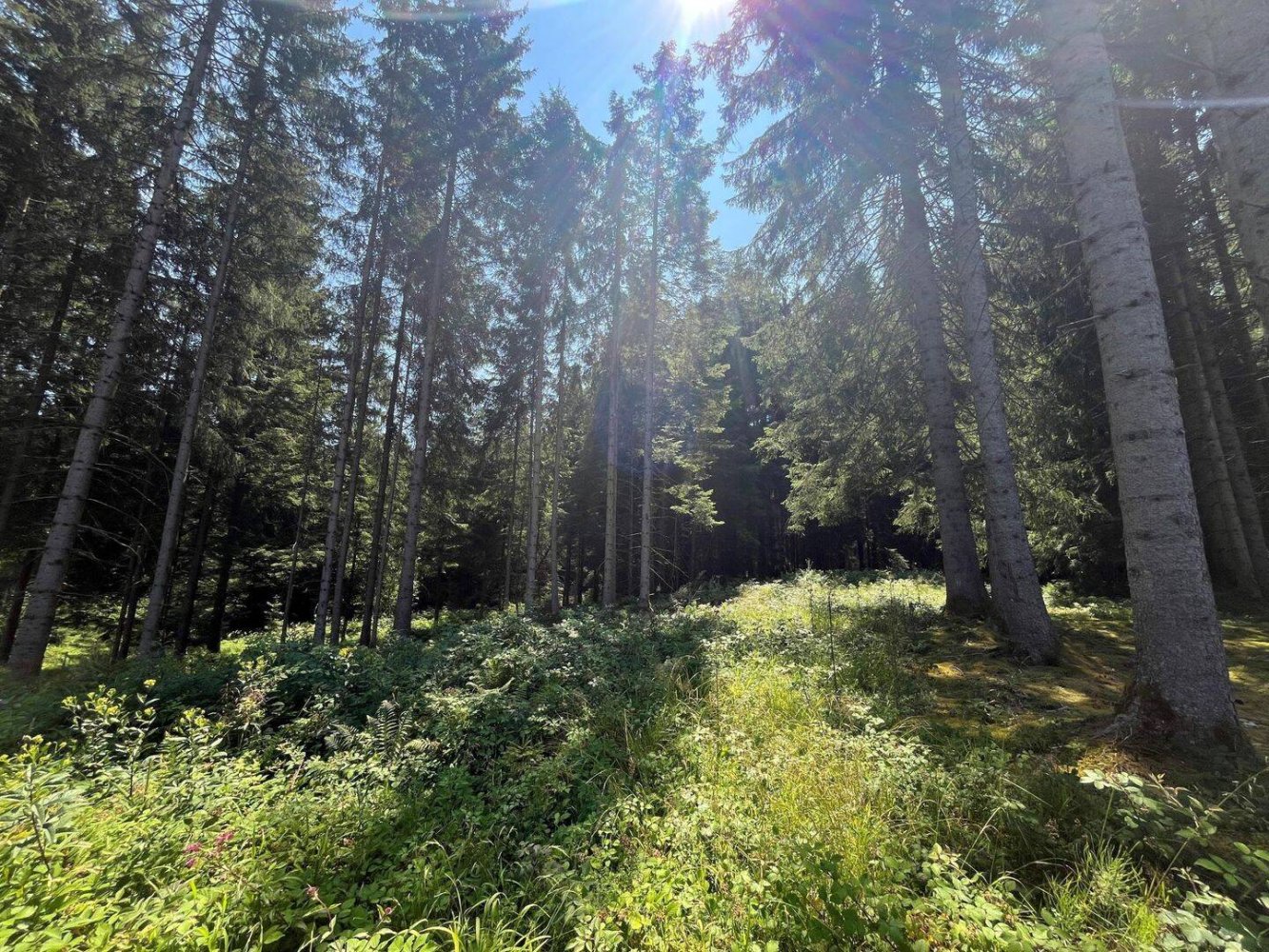 Grundstück in Ostallgäu, Germany, Nr. 183875