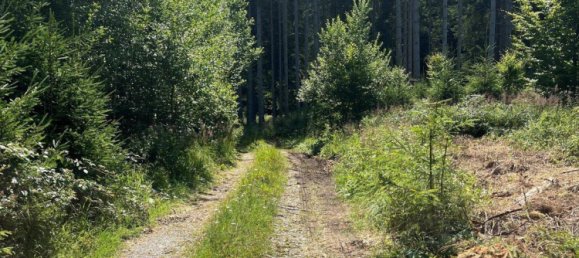 Grundstück in Ostallgäu, Germany, Nr. 183875 6